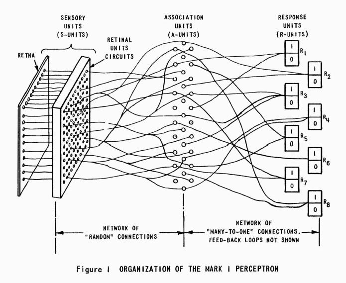 Organización básica del Mark I Perceptron