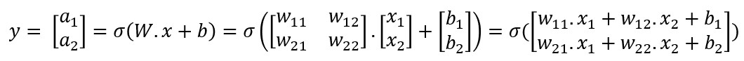 Expresión de los valores de salida en función de los valores de entrada, los pesos y los bias