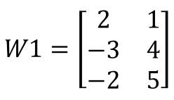 Matriz de pesos de la primera capa oculta