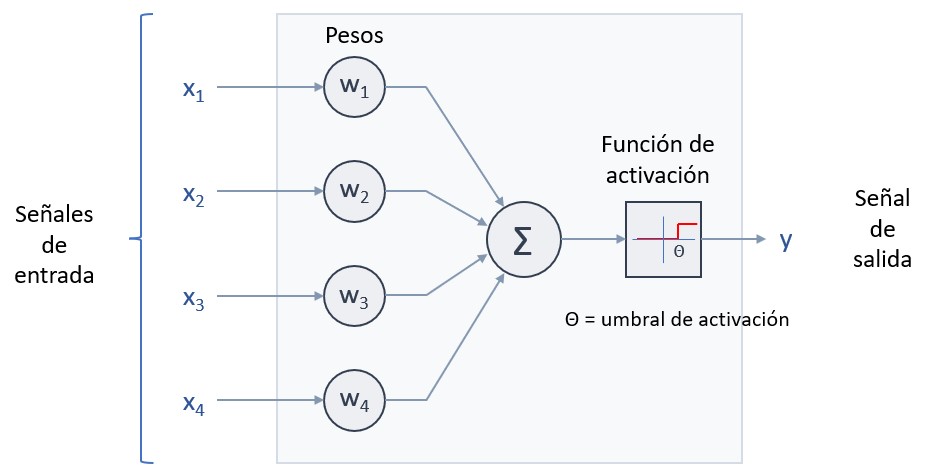 El Perceptrón de Frank Rosenblatt